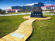 海口天华矿业集团