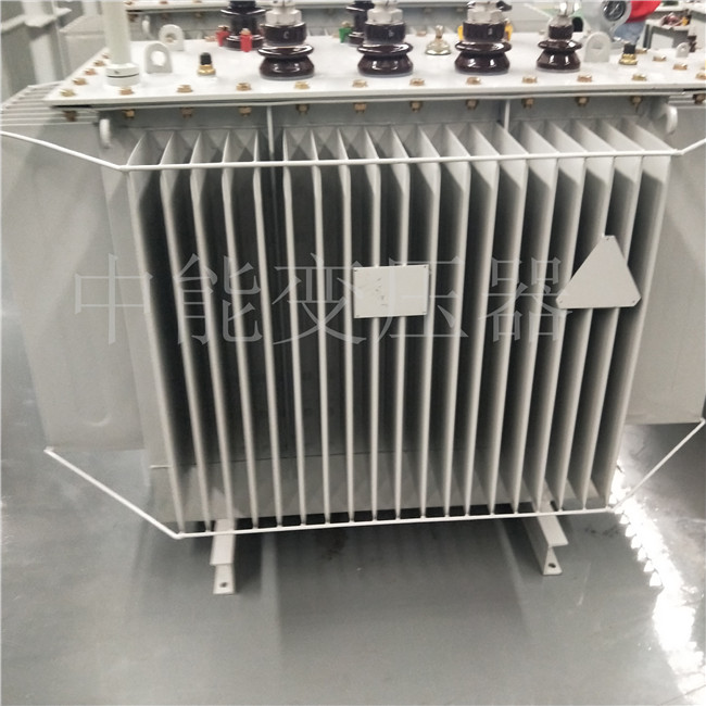 海口S20-800KVA变压器